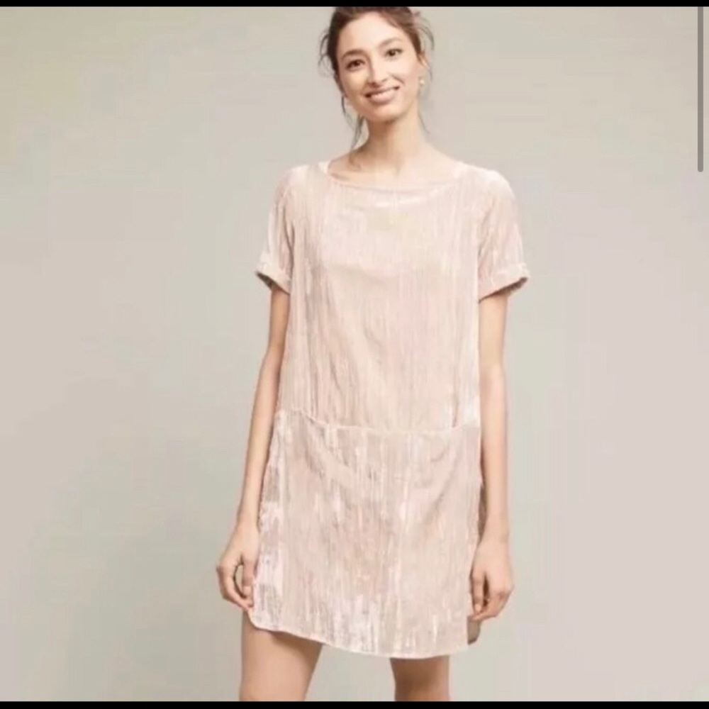 Anthropologie Floreat Velvet Tunic Dress